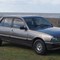 Peugeot 505 Buying Guide: Robuuste allrounder