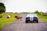 Rallye des Princesses 2018 - étape 3