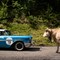 Rallye des Princesses 2018 - étape 5 : FORMIGAL-BIDARRAY-BIARRITZ (247 km)