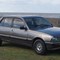 Peugeot 505 Buying Guide: Robuste et polyvalente