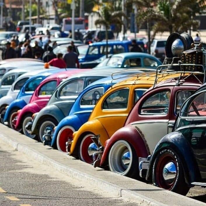 Aircooled VW Park-Off