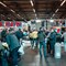 Nombre record de visiteurs pour Flanders Collection Cars 2023
