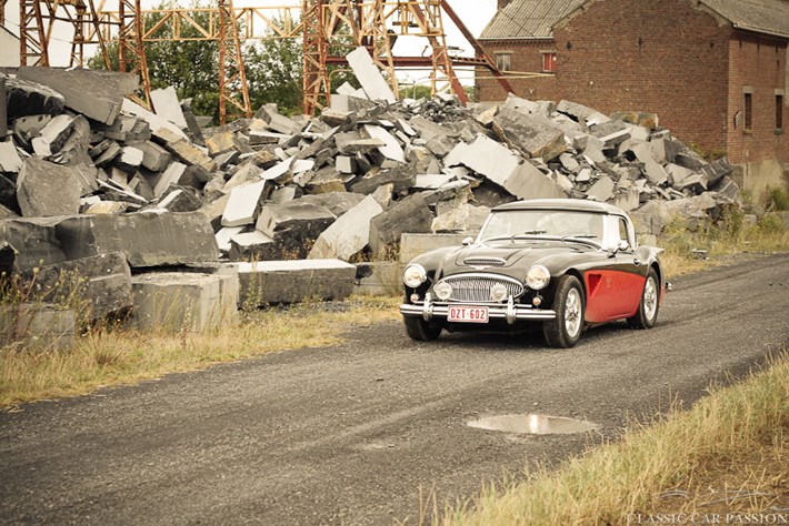 ladiesclassic2012-2119