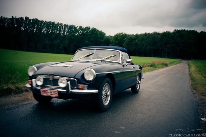 ZTrophyfg2012-5496