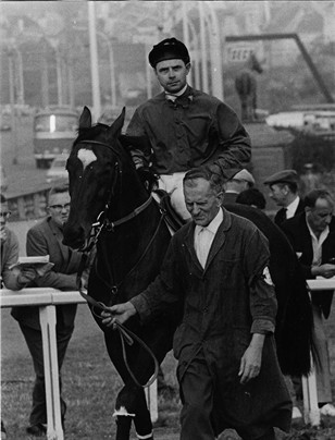 André Van Bever - gentleman rider - copyright A Van Bever.jpg