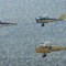 The vintage Air Rally Crete2Cape