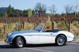 Austin Healey