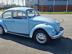 Volkswagen Classic Beetle 1969