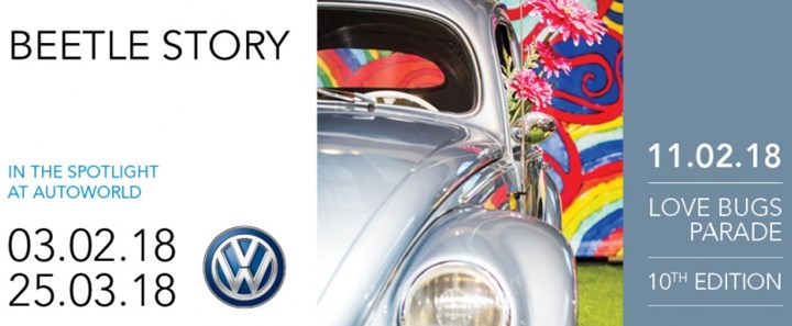 Love Bugs Parade 10th edition (Brussels)