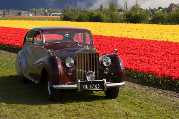 MEMBER STORY - Twaalfde Bollenrit Rotary Rijnwoude