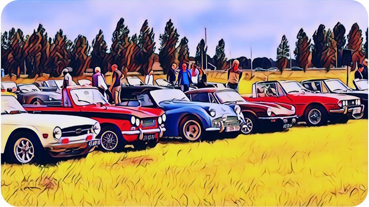 Dutch National Triumph Day (1)
