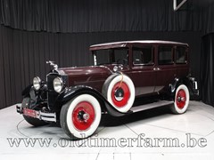 Packard All Models 1929