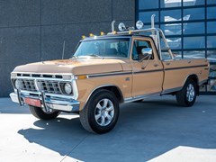 Ford All Models 1976