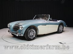 Austin Healey 100 1954