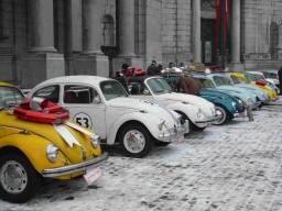 LOVE BUGS PARADE 2011