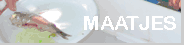 6e Balade des Maatjes