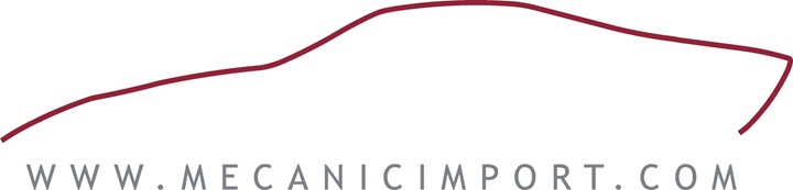 MECANIC IMPORT BVBA