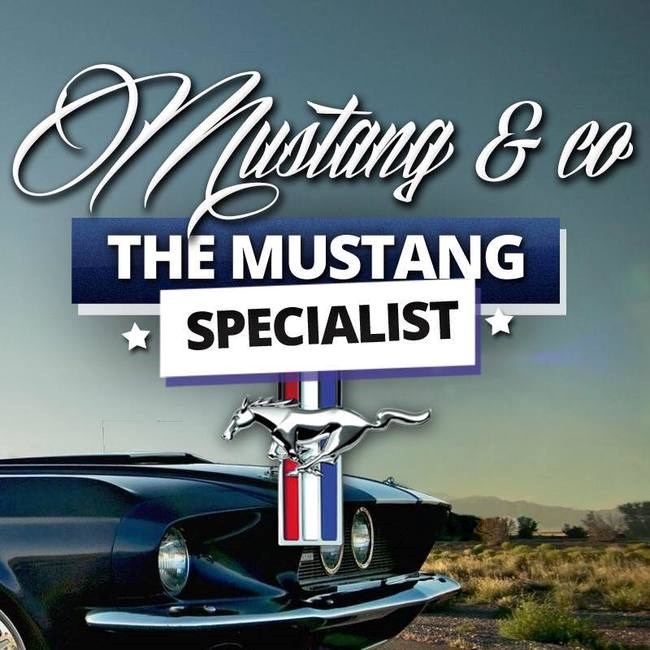 MUSTANG AND CO CLUB